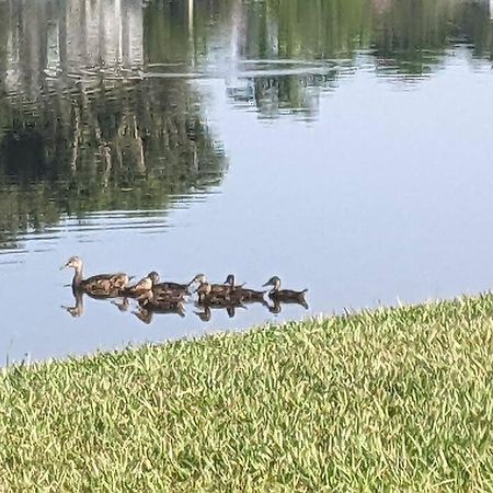 Port Saint Lucie A Little Piece Of Heaven- Peaceful Lake View Apartment- 1 Min From I95 And Turnpike Port St. Lucie ภายนอก รูปภาพ