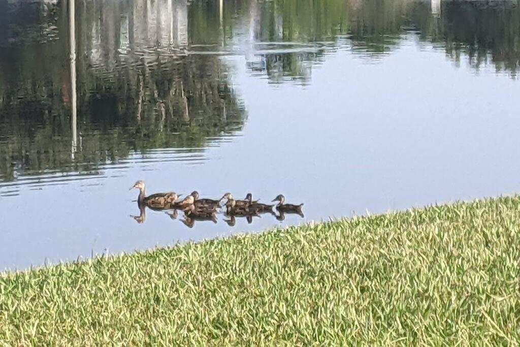 Port Saint Lucie A Little Piece Of Heaven- Peaceful Lake View Apartment- 1 Min From I95 And Turnpike Port St. Lucie ภายนอก รูปภาพ