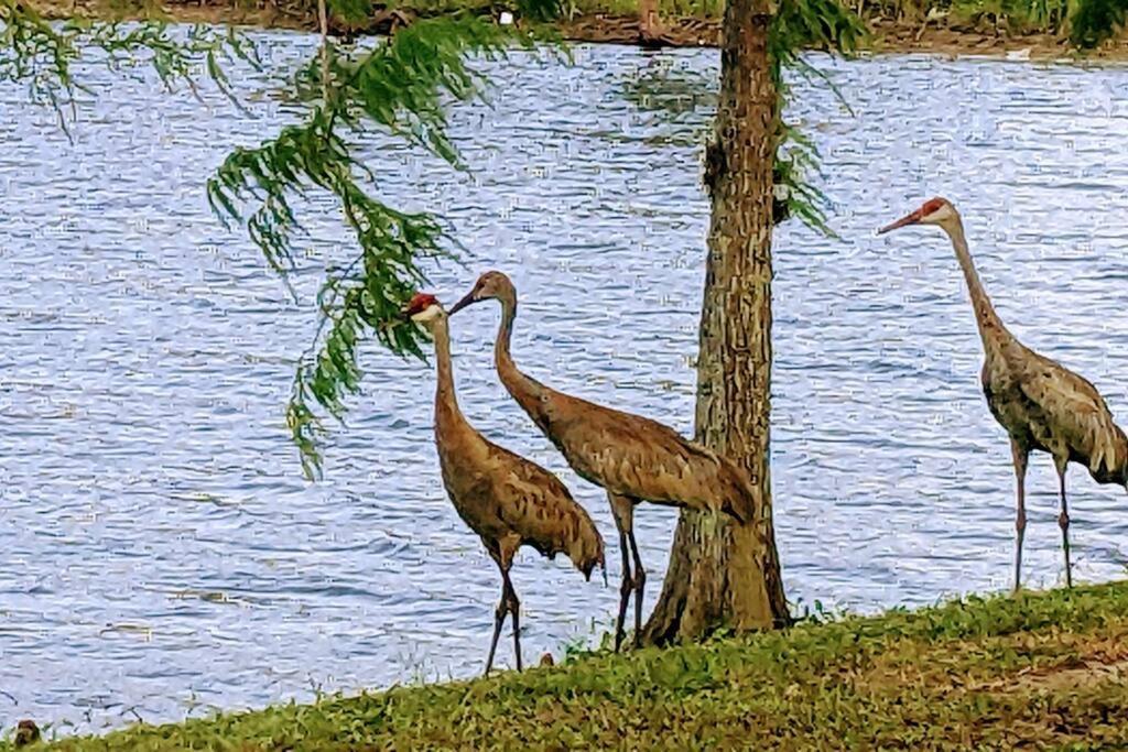 Port Saint Lucie A Little Piece Of Heaven- Peaceful Lake View Apartment- 1 Min From I95 And Turnpike Port St. Lucie ภายนอก รูปภาพ